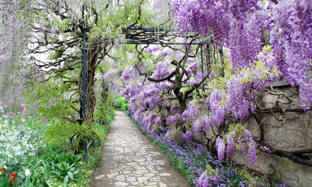 How To Plan Your Garden 2025