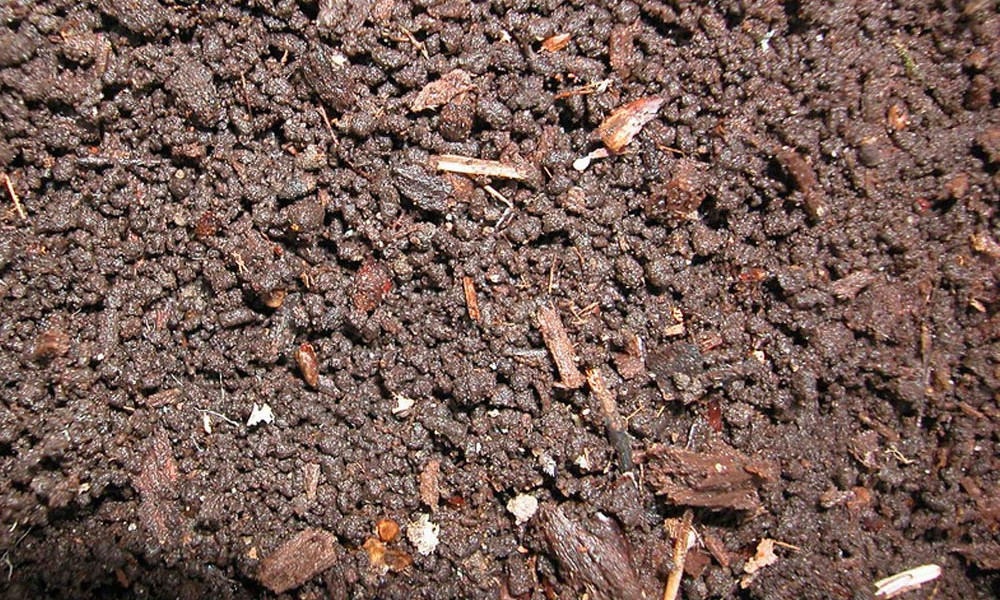 Soil Types in the UK