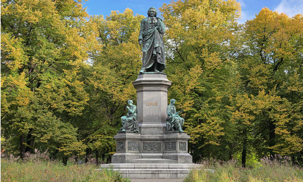 What do Latin Plant Names Mean?