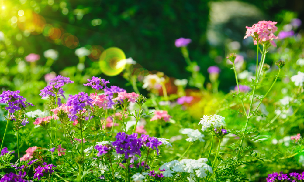 Garden Styles